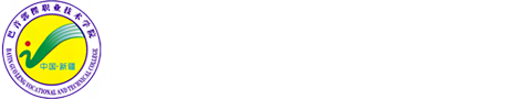 2026世界杯官网